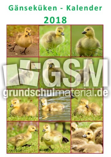 Kanadagänseküken-Kalender_2018.pdf